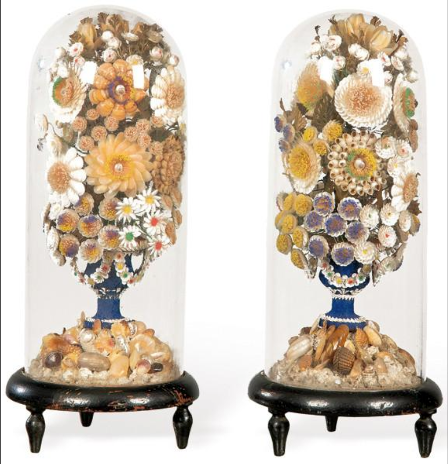 Pareja de floreros de conchas bajo cúpula de cristal. Siglo XIX