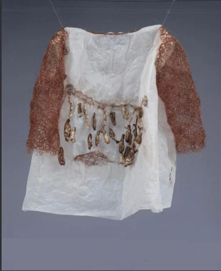 Santiago, Paula (1969); Sin Título