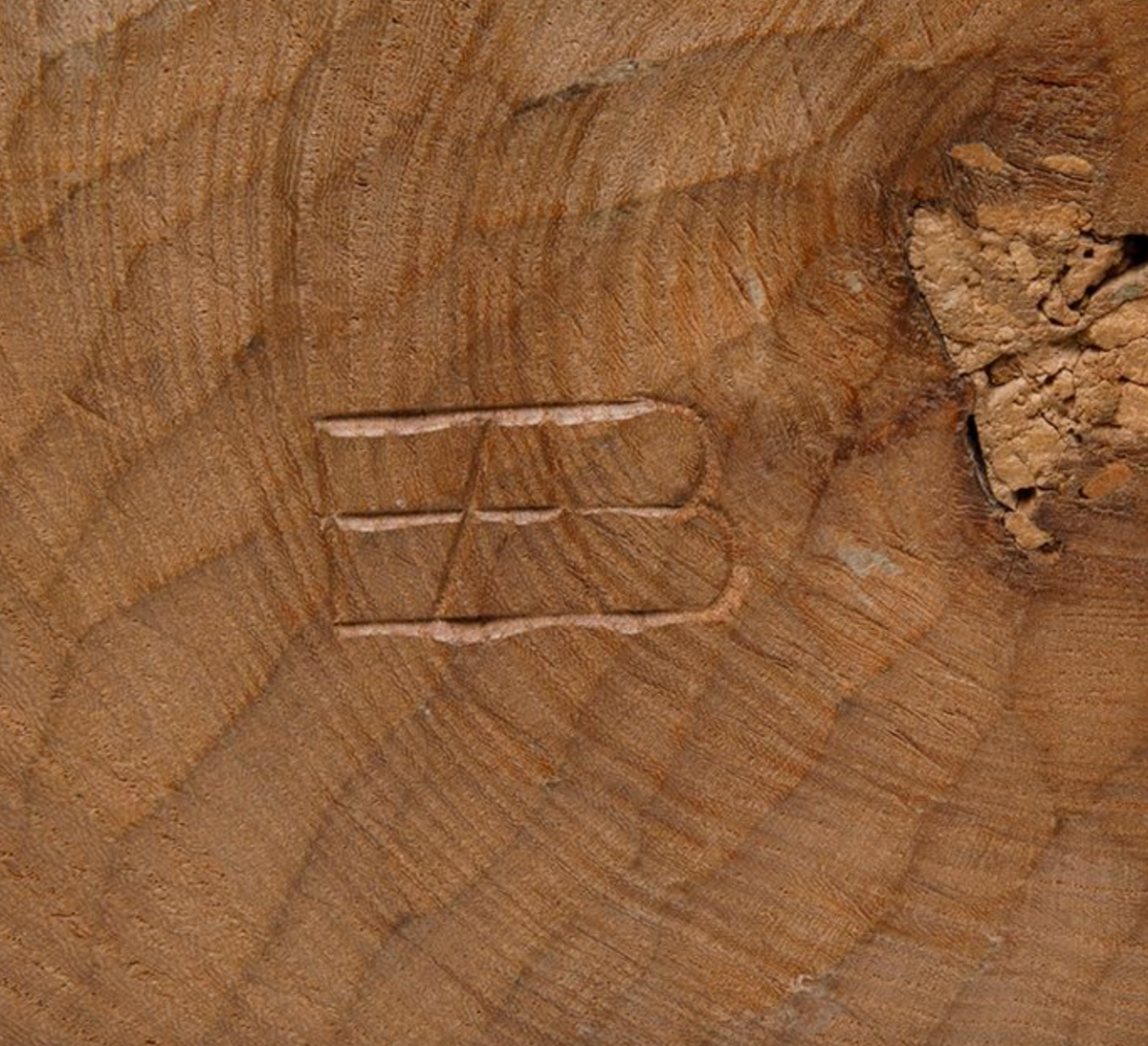 Momento Mori, Escuela española, siglo XX.