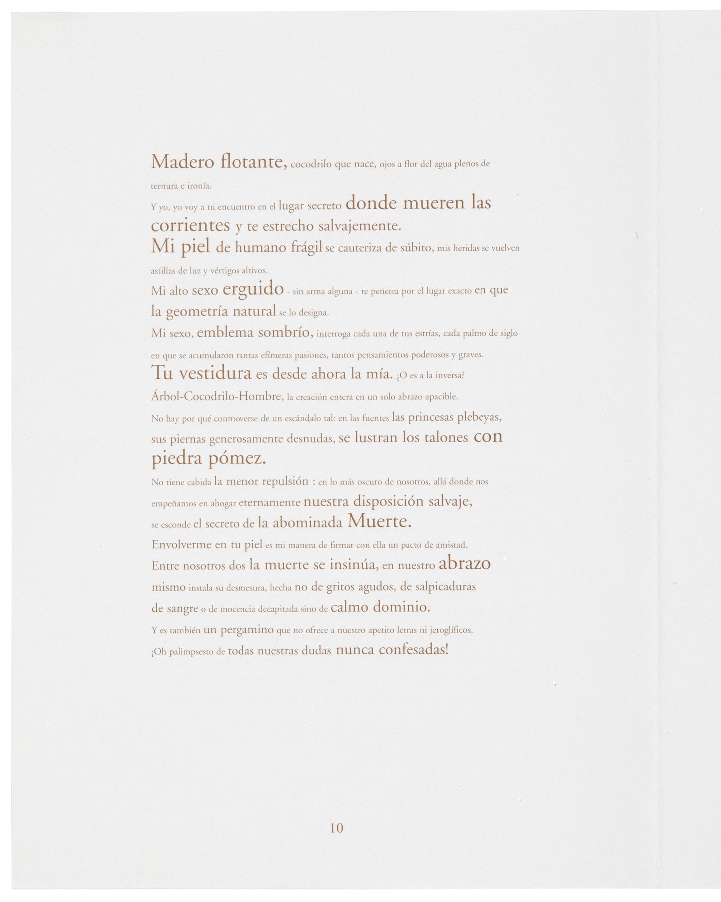 Toledo, Francisco; "Mues Immobiles" Fotografías