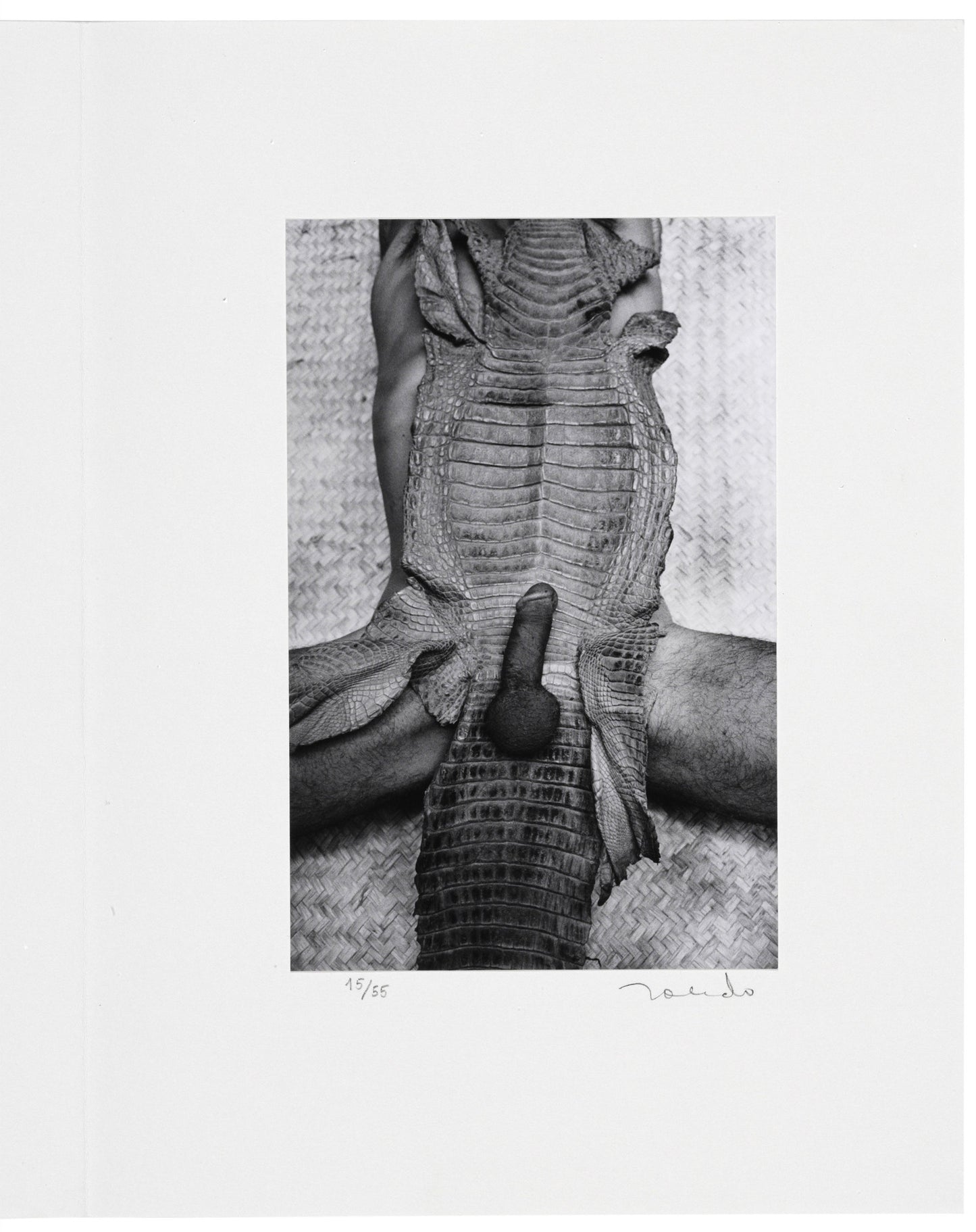 Toledo, Francisco; "Mues Immobiles" Fotografías