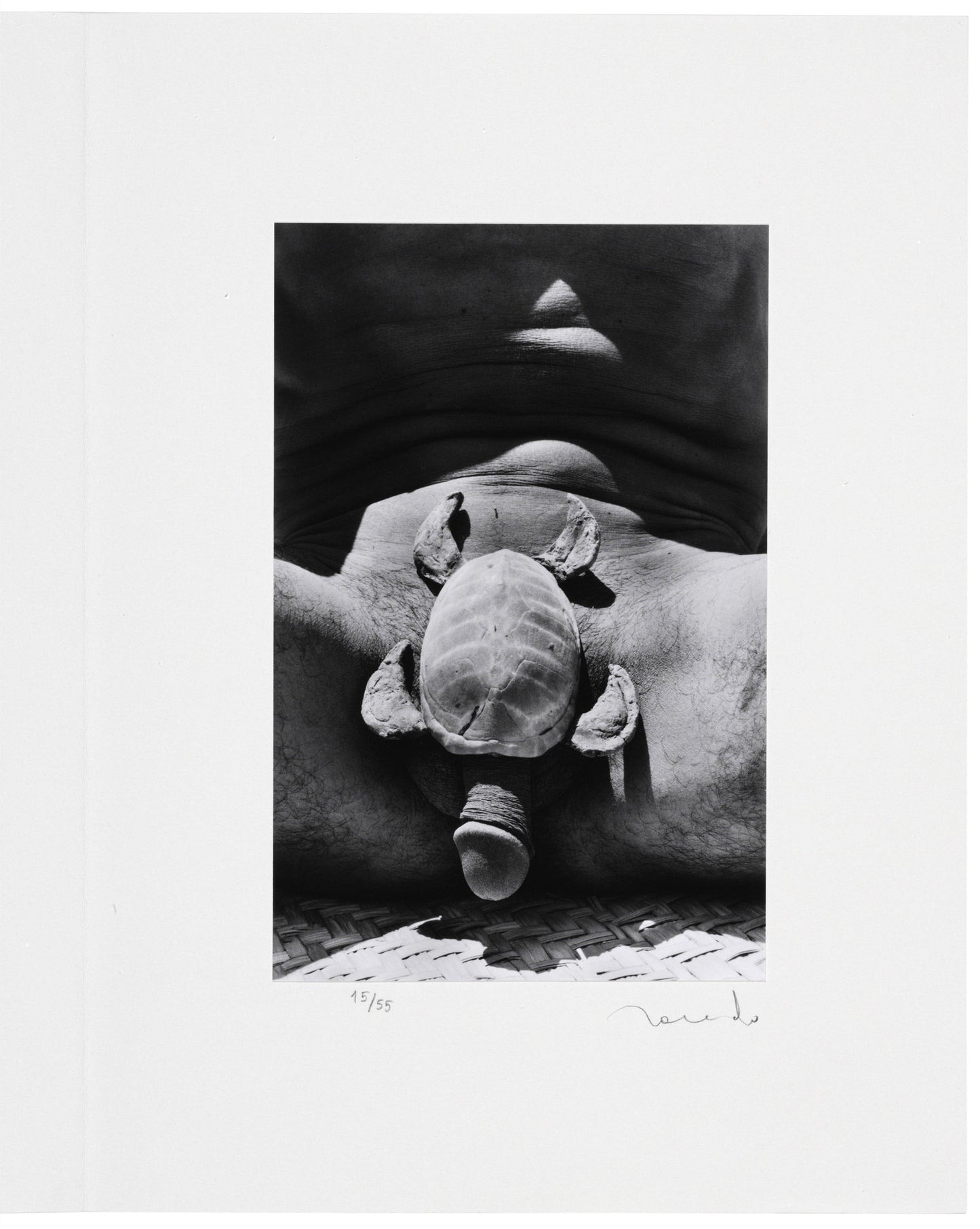 Toledo, Francisco; "Mues Immobiles" Fotografías